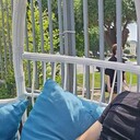 ���������� ���������, ���� ������� ������, 36 ���, ������������ ��� ������, ���������