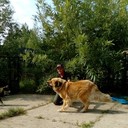 ,   , 66 ,   ,   , c 