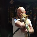 ���������� ����, ���� ������� ��������, 42 ����, ������������ ��� ����� � ���������, c�������� ���������