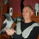  ,   , 59 ,   