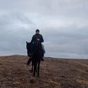 ���������� �������, ���� ������� ���, 33 ����, ������������ ��� ������, ����� � ���������, c�������� ���������, ���������