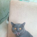 ���������� ������, ���� ������� ����, 42 ����, ������������ ��� ������, ����� � ���������, c�������� ���������