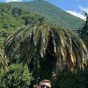 ���������� ������, ���� ������� ������, 30 ���, ������������ ��� ������, ����� � ���������, ���������