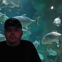 ���������� ���������, ���� ������� �������, 44 ����, ������������ ��� ������, ����� � ���������, c�������� ���������, ���������