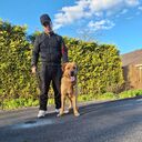 ���������� ��������, ���� ����� ���������, 22 ����, ������������ ��� ������, ����� � ���������