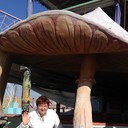 ���������� Meda, ���� ������� Gaiia, 58 ���, ������������ ��� ������, ����� � ���������, c�������� ���������