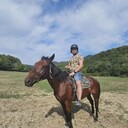 ���������� ����� �������, ���� ������� ������, 31 ���, ������������ ��� ������, ����� � ���������, ���������