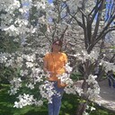 ���������� ���������, ���� ������� ����, 44 ����, ������������ ��� c�������� ���������