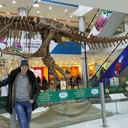 ���������� ����-���, ���� ������� ��������, 41 ���, ������������ ��� ������, ����� � ���������, c�������� ���������