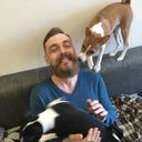 ���������� �����������, ���� ������� ������, 47 ���, ������������ ��� ������, ����� � ���������, c�������� ���������