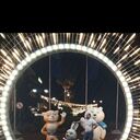 ���������� ��������, ���� ������� ������, 39 ���, ������������ ��� ������, ����� � ���������