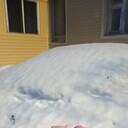 ���������� ���������� �����, ���� ������� �������, 42 ����, ������������ ��� ������, ����� � ���������, c�������� ���������