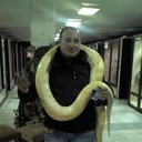  ,   , 41 ,   