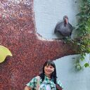 ���������� ����, ���� ������� ����, 50 ���, ������������ ��� c�������� ���������