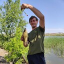 ���������� ���������, ���� ������� ������, 36 ���, ������������ ��� ������, ����� � ���������, c�������� ���������