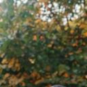  ,   Habil, 40 ,     