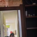 ���������� ������, ���� ������� �����, 24 ����, ������������ ��� ����� � ���������, ���������