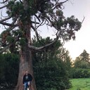 ���������� �����������, ���� ������� �����, 30 ���, ������������ ��� ������, ����� � ���������, c�������� ���������