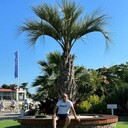 ���������� �����-���������, ���� ������� Vuqar, 40 ���, ������������ ��� ������, ����� � ���������