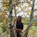  -,   , 39 ,   ,   , c 