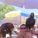  -,   , 28 ,     , c 