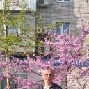 ���������� ���������, ���� ������� ����, 51 ���, ������������ ��� ������, ����� � ���������, c�������� ���������, ���������