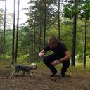 ���������� �����, ���� ������� ���������, 33 ����, ������������ ��� ����� � ���������, c�������� ���������