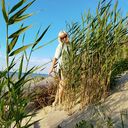 ���������� �����������, ���� ������� �����, 53 ����, ������������ ��� ����� � ���������, c�������� ���������