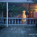  ,   , 53 ,   