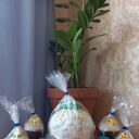 ���������� �����������, ���� ����� ������, 25 ���, ������������ ��� ������, ����� � ���������, c�������� ���������, ���������