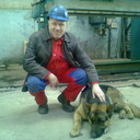  ,   , 61 ,   