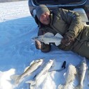 ���������� �����������, ���� ������� �����, 43 ����, ������������ ��� c�������� ���������