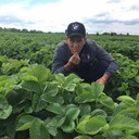 ���������� �����������, ���� ������� Vova, 45 ���, ������������ ��� ������, ����� � ���������