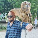 ���������� �����, ���� ������� ����, 41 ���, ������������ ��� ������, ����� � ���������