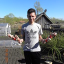 ���������� �������, ���� ������� �������, 45 ���, ������������ ��� ������, ����� � ���������, c�������� ���������