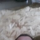  ,   Sanea, 48 ,   ,   , c 