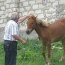 ���������� �������, ���� ������� �����, 69 ���, ������������ ��� ������, ����� � ���������, c�������� ���������