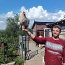  ,   , 34 ,   ,   , c 