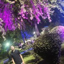 ���������� ���������, ���� ����� Mishake, 24 ����, ������������ ��� ������, ����� � ���������, c�������� ���������, ���������