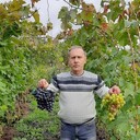 ���������� ����������, ���� ������� ���������, 66 ���, ������������ ��� ������, ����� � ���������