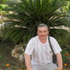  -,   , 54 ,   ,   , c 