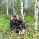 ���������� ������ ��������, ���� ������� ���������, 53 ����, ������������ ��� ������, ����� � ���������