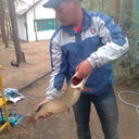  -,   , 43 ,   ,   , c 