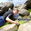 ���������� ��������, ���� ������� ����, 49 ���, ������������ ��� ������, ����� � ���������, c�������� ���������