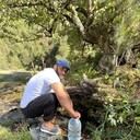 ���������� ���������, ���� ������� �����, 31 ���, ������������ ��� ������, ����� � ���������