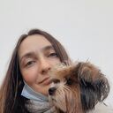 ���������� �����-���������, ���� ������� ���������, 38 ���, ������������ ��� ����� � ���������, c�������� ���������