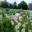 ���������� ������� �����, ���� ������� �����, 53 ����, ������������ ��� ������, ����� � ���������