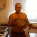 ���������� ����, ���� ������� Hik75, 50 ���, ������������ ��� ������