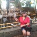  ,   , 43 ,   c 