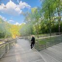 ���������� ������, ���� ������� ������, 40 ���, ������������ ��� ����� � ���������, c�������� ���������